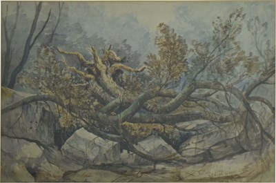 Lot 700 - 19th century English School - Watercolour - 'Fallen Tree, Leigh Woods, 1842'