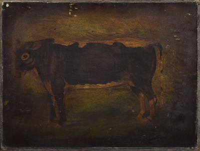 Lot 394 - English Naïve School, 19th century - Oil on oak panel - Study of a bull