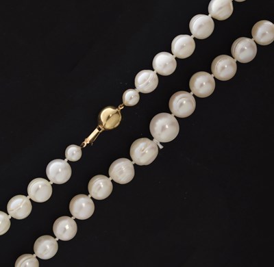 Lot 117 - Freshwater pearl necklace