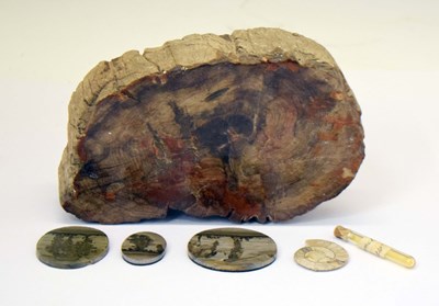 Lot 456 - Quantity of assorted fossils and geological specimens