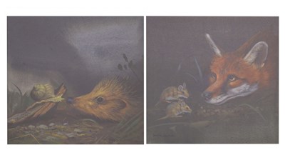 Lot 459 - David Blake (1904 Arts, formerly Bristol Savages) - Pair of gouache animal studies - Fox and Hedgehog