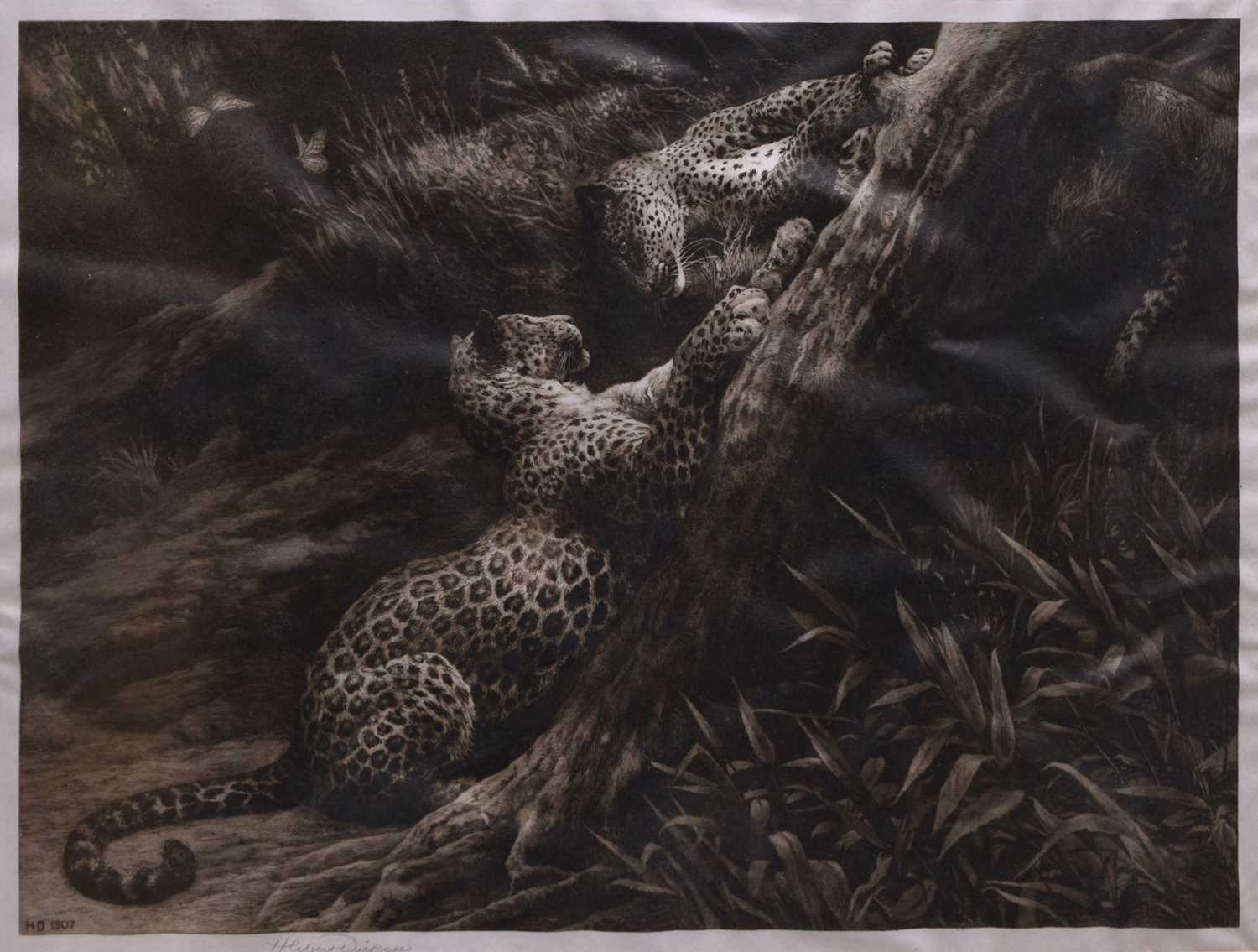 Lot After Herbert Thomas Dicksee, (1862-1942) - 'Play', a signed etching depicting two leopards