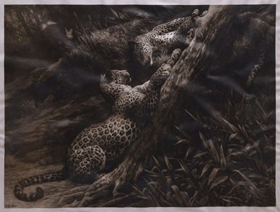 Lot After Herbert Thomas Dicksee, (1862-1942) - 'Play', a signed etching depicting two leopards