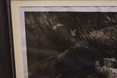 Lot After Herbert Thomas Dicksee, (1862-1942) - 'Play', a signed etching depicting two leopards
