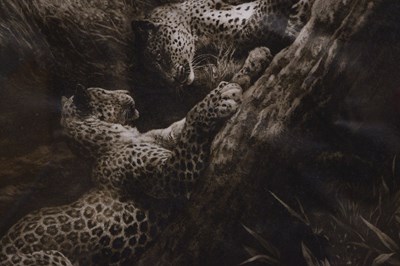 Lot After Herbert Thomas Dicksee, (1862-1942) - 'Play', a signed etching depicting two leopards