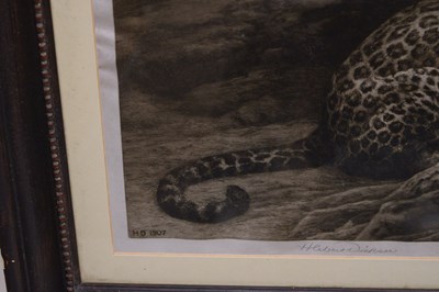 Lot After Herbert Thomas Dicksee, (1862-1942) - 'Play', a signed etching depicting two leopards
