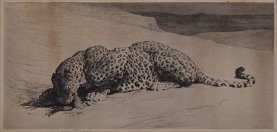 Lot After Herbert Thomas Dicksee, (1862-1942) - Etching - 'Leopard with Jungle Fowl'