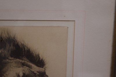 Lot After Herbert Thomas Dicksee, (1862-1942) - Etching - Head of a Lion