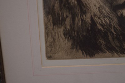 Lot After Herbert Thomas Dicksee, (1862-1942) - Etching - Head of a Lion