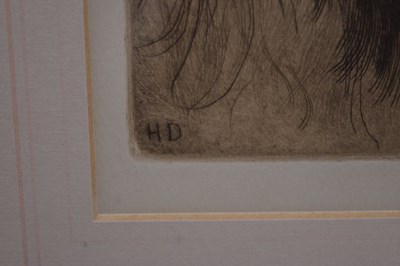 Lot After Herbert Thomas Dicksee, (1862-1942) - Etching - Head of a Lion