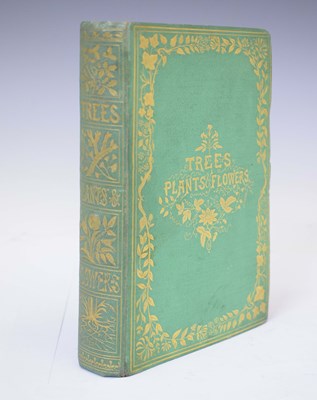 Lot 421 - Mrs R. Lee, 'Trees, Plants , and Flowers', first edition, 1854