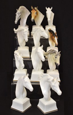 Lot 407 - Royal Worcester - Eleven 'Equine Studies' busts