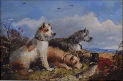 Lot 497 - Manner of George Armfield (1808-1893) - Oil on canvas - Three Terriers
