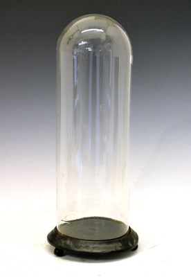 Lot 602 - Circular glass dome on wooden base