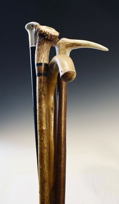 Lot 258 - Quantity of walking sticks