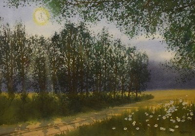 Lot 643 - D. Haddow - Watercolour - Woodland landscape