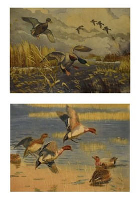 Lot 581 - Winifred Austen (1876-1964) - Pair of coloured etchings - 'Mallards' and 'Wigeon'